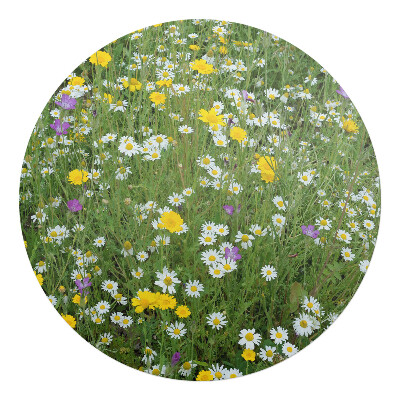 Mata pod krzesło okrągła Kwiecista łąka