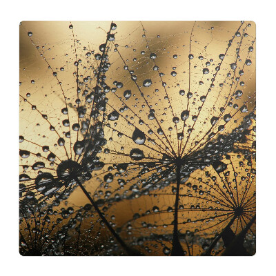 Podkładka pod krzesło obrotowe Krople na pajęczynie