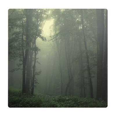 Podkładka pod krzesło obrotowe Mglisty las o świcie