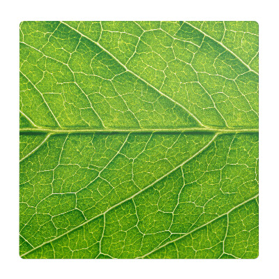 Podkładka pod fotel Liść w zbliżeniu