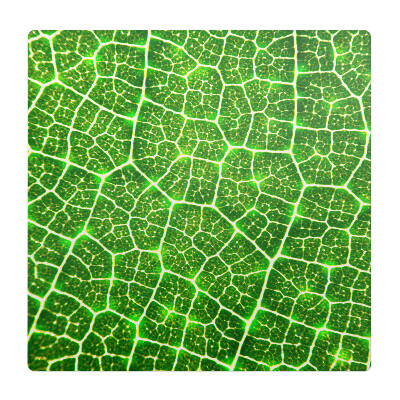 Mata pod fotel ochrona paneli Liść w zbliżeniu