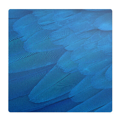 Mata pod krzesło do biura Pióra ptaka z bliska