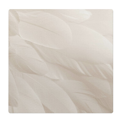 Podkładka pod fotel Delikatne pióra