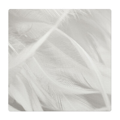 Podkładka pod krzesło obrotowe Delikatne pióra