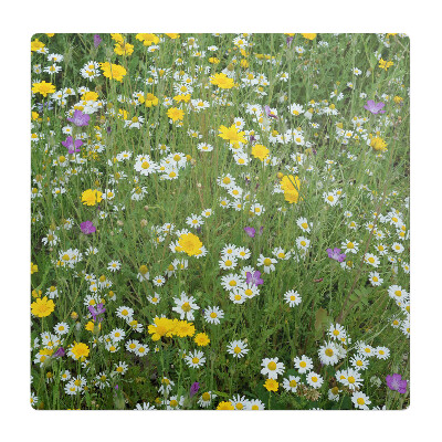 Mata na podłogę pod krzesło Kwiecista łąka