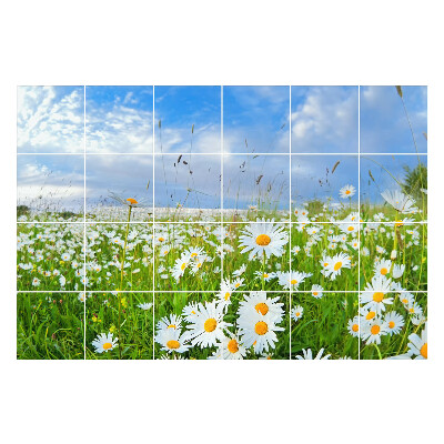 Naklejki na kafelki Kwiatowy krajobraz łąkowy