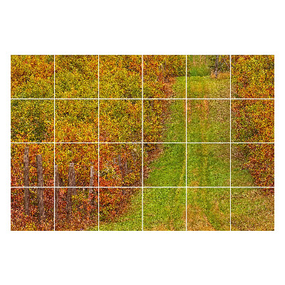 Naklejki na płytki Jesienny szlak w naturze