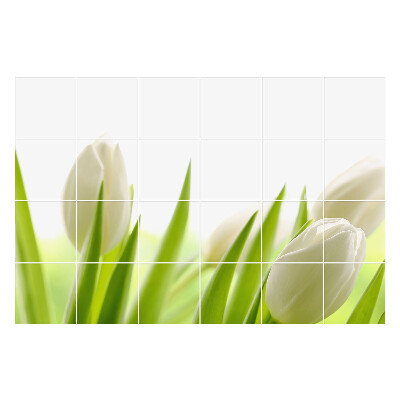 Nalepki na kafelki Delikatne tulipany w naturze