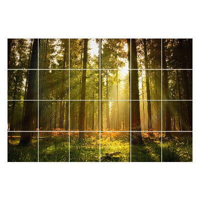 Naklejki na płytki Promienie słońca w lesie