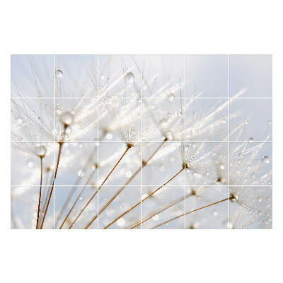 Nalepki na kafelki Krople na puchu dmuchawca