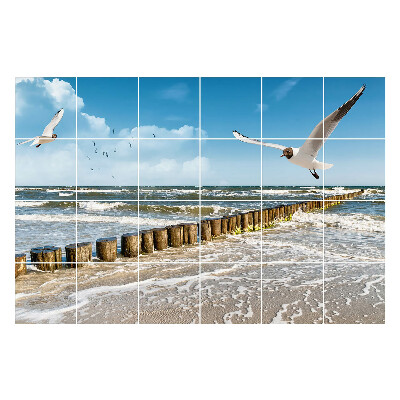 Naklejki na płytki Morski krajobraz z ptakami