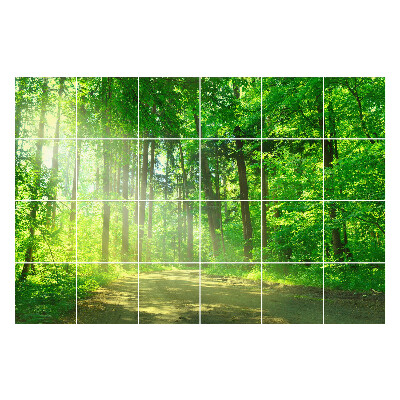 Naklejki na kafelki Leśna ścieżka w promieniach