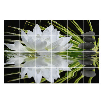 Naklejki na płytki Kwiat na wodzie z kamieniami