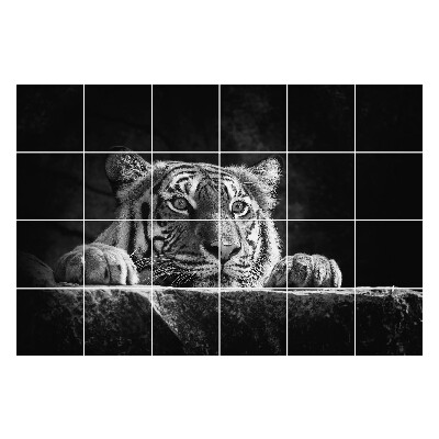 Naklejki na płytki Tygrys w zbliżeniu