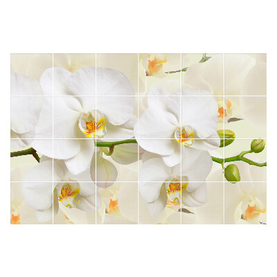 Naklejki na kafelki Kwiatowe motywy orchidei