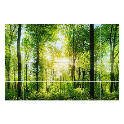 Nalepki na kafelki Zielony las z promieniami