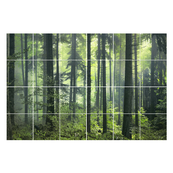 Naklejki na płytki Gęsty las z mgłą