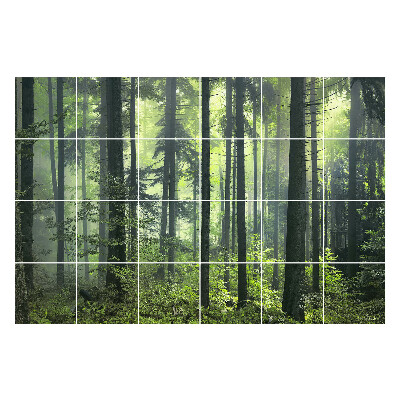 Naklejki na płytki Gęsty las z mgłą