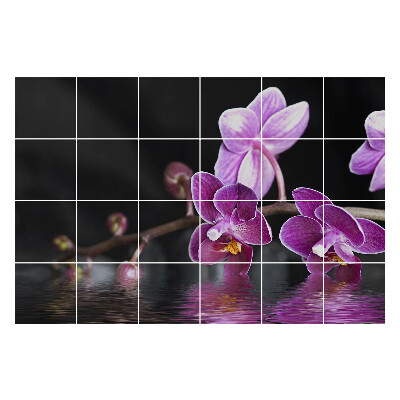 Naklejki na płytki Kwiaty na tle wody