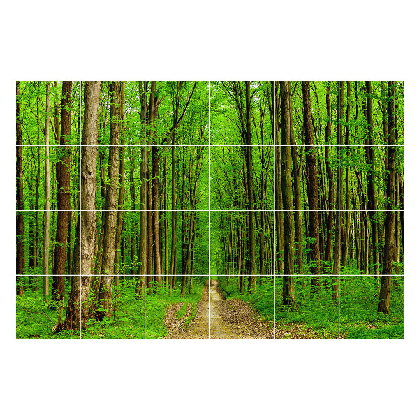 Naklejki na kafelki Zielony leśny szlak