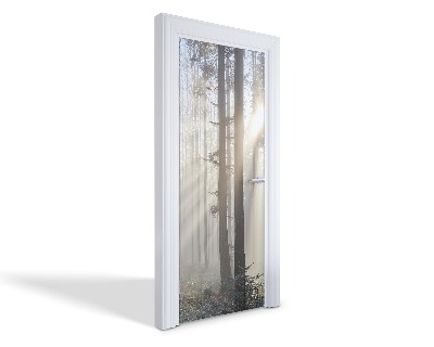 Naklejka na drzwi samoprzylepna Poranne promienie słońca