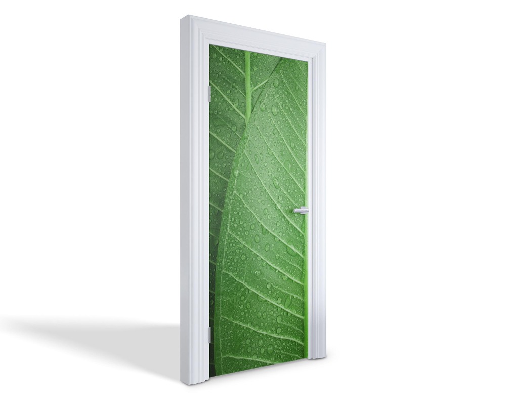 Naklejka na drzwi samoprzylepna Zielone liście z kroplami