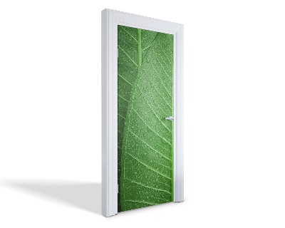 Naklejka na drzwi samoprzylepna Zielone liście z kroplami
