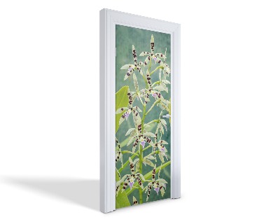 Naklejka na drzwi samoprzylepna Egzotyczny storczyk