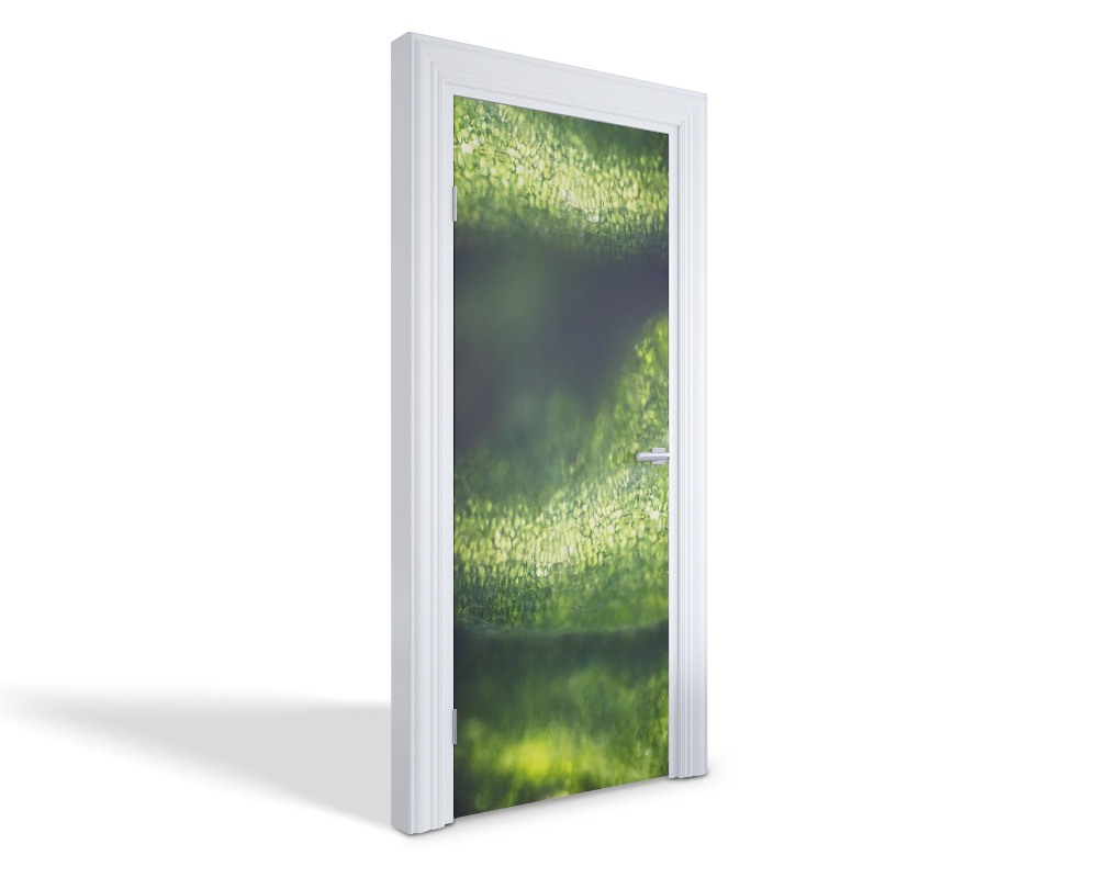 Naklejka na drzwi samoprzylepna Zielona tekstura