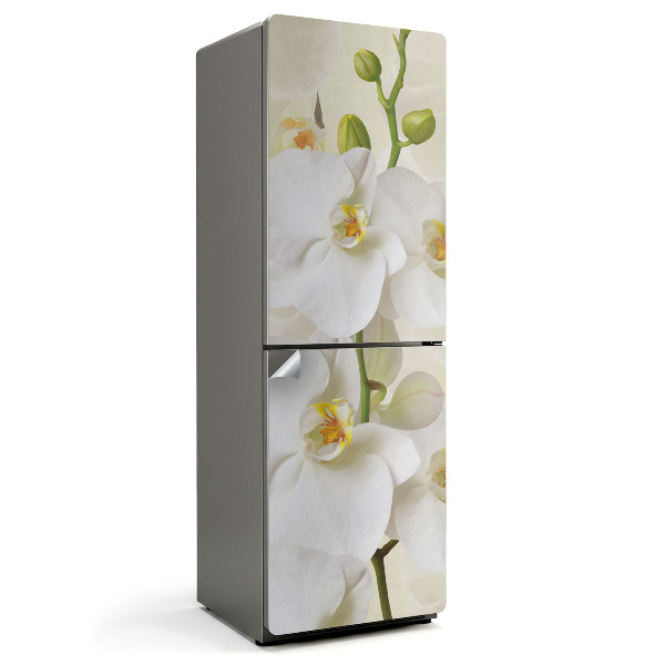 Kwiatowe detale orchidei Samoprzylepna naklejka na lodówkę