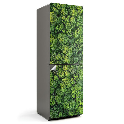 Naklejka tapeta na lodówkę Widok z góry na gęsty las