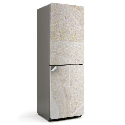 Naklejka tapeta na lodówkę Zbliżenie żyłek liścia