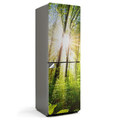 Naklejka na lodówkę Przebijające promienie słońca