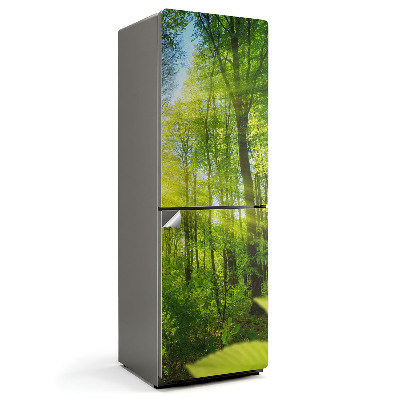 Samoprzylepna naklejka na lodówkę Promienie słońca w lesie