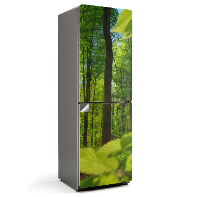 Naklejka tapeta na lodówkę Zielony las w słońcu