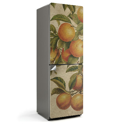 Naklejka na lodówkę Owoce na gałęzi