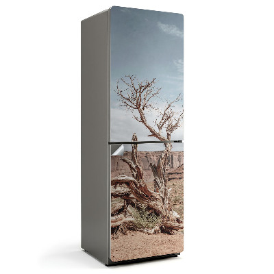 Naklejka na lodówkę Skręcony pień drzewa