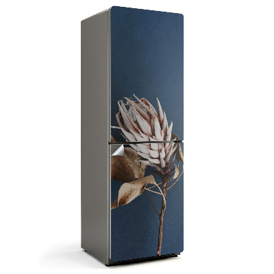 Samoprzylepna naklejka na lodówkę Zbliżenie na suszoną roślinę