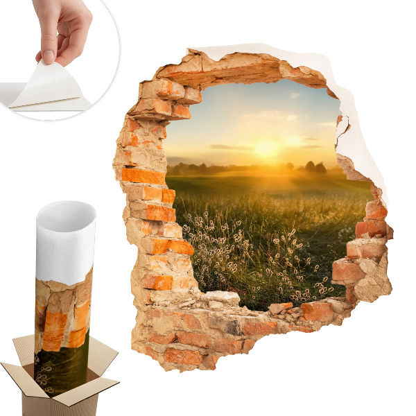 Naklejka na ścianę dziura 85x100 Słoneczna łąka