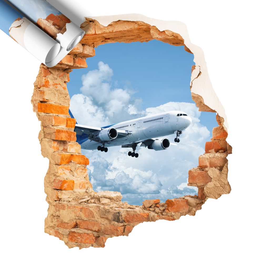 Naklejka na ścianę dziura 3D 111x130 Lotnicze odkrycie