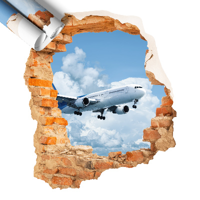 Naklejka na ścianę dziura 3D 111x130 Lotnicze odkrycie