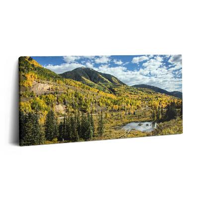 Foto obraz canvas 100x50 Krajobraz z roślinnością górską