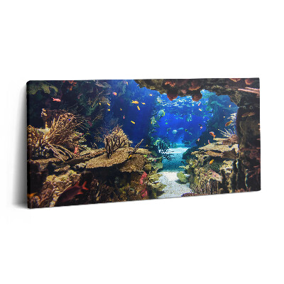 Fotoobraz canvas 100x50 Akwarium