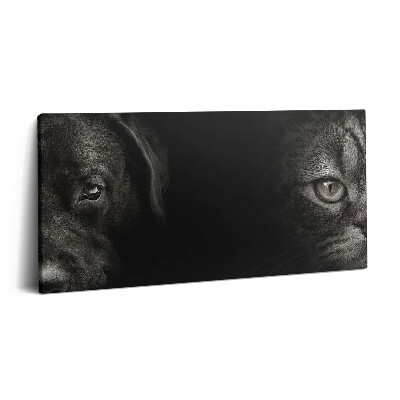 Obraz na płótnie 100x50 Pies labrador i kot szkocki