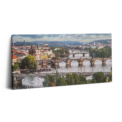 Foto obraz canvas 100x50 Widok na Pragę