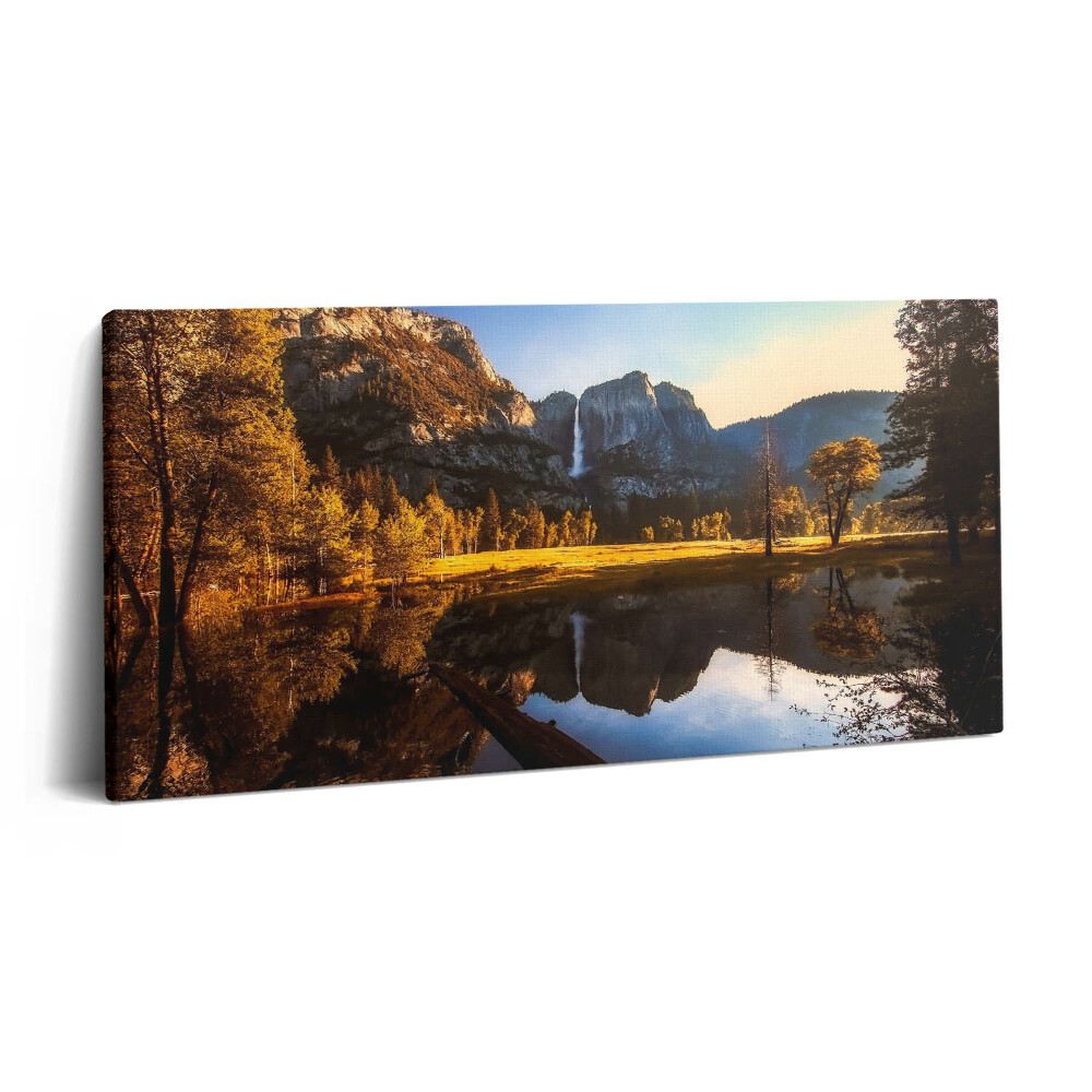 Foto obraz canvas 100x50 Las w parku Yosemite