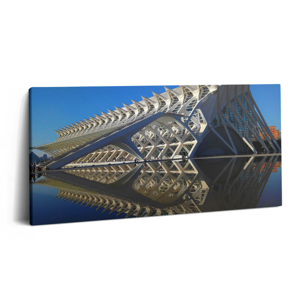 Foto obraz canvas 100x50 Muzeum Nauki w Walencji