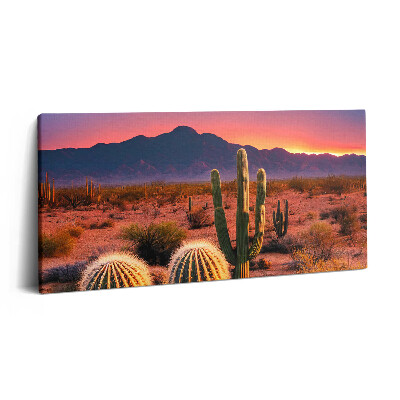 Obraz na płótnie 100x50 Zachód słońca na pustyni