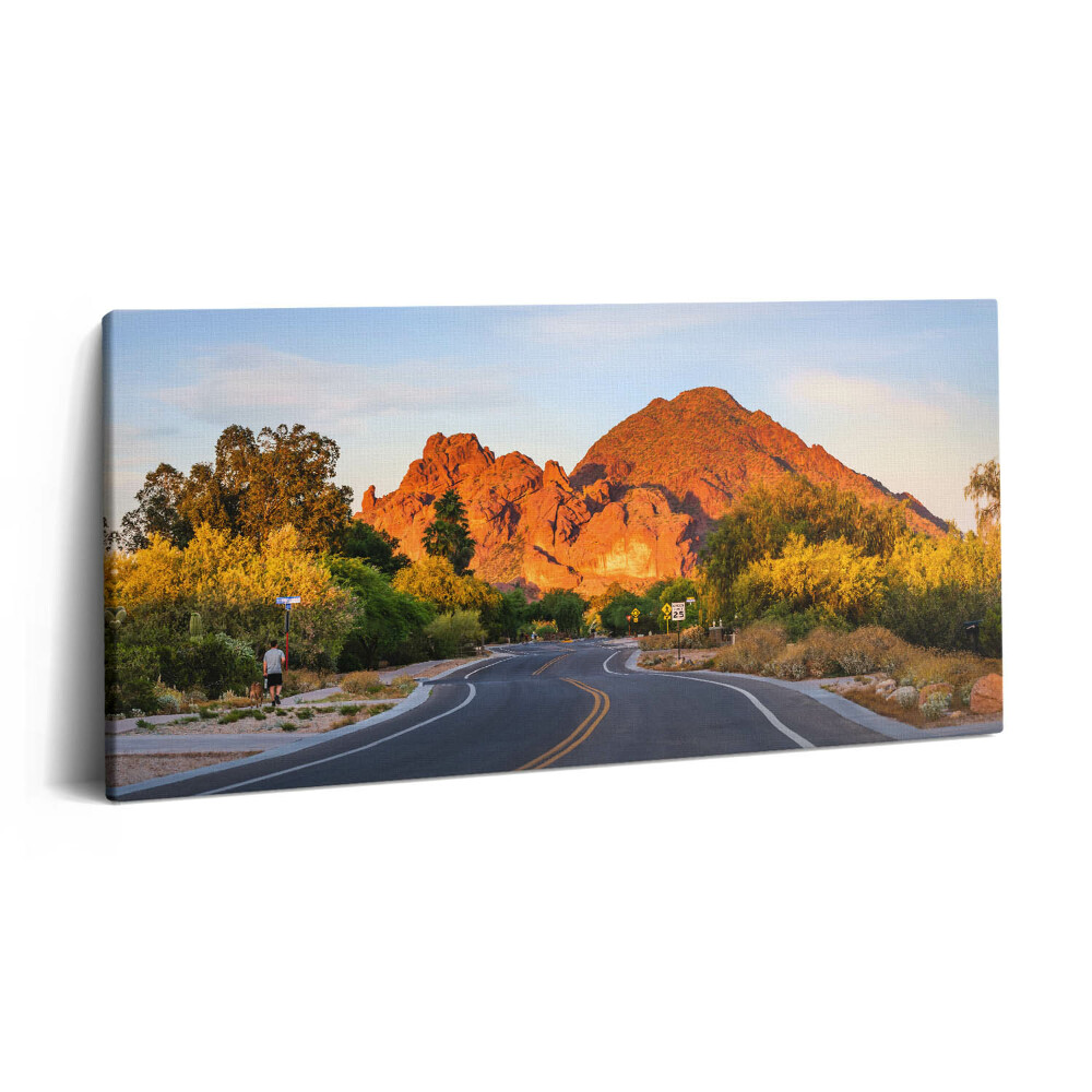 Fotoobraz canvas 100x50 Widok na górę Camelback