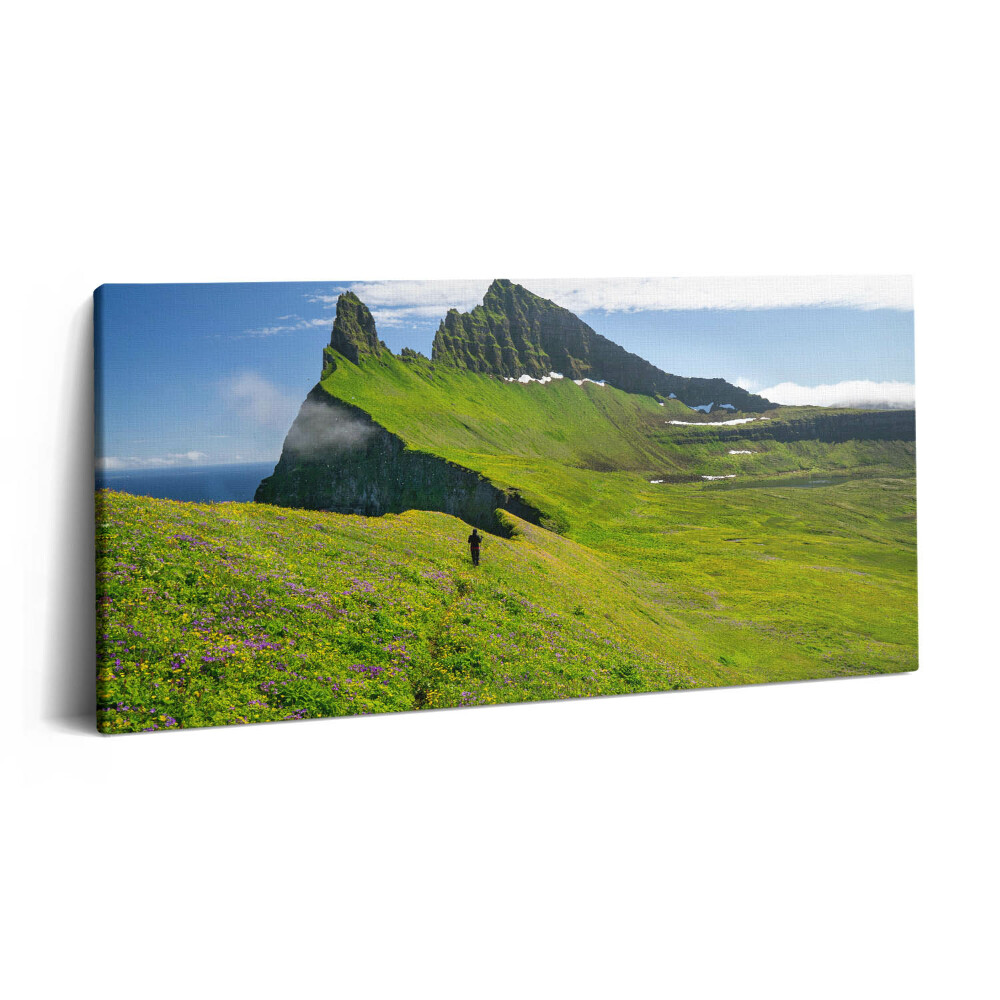 Fotoobraz canvas 100x50 Rezerwat Hornstrandir Islandia